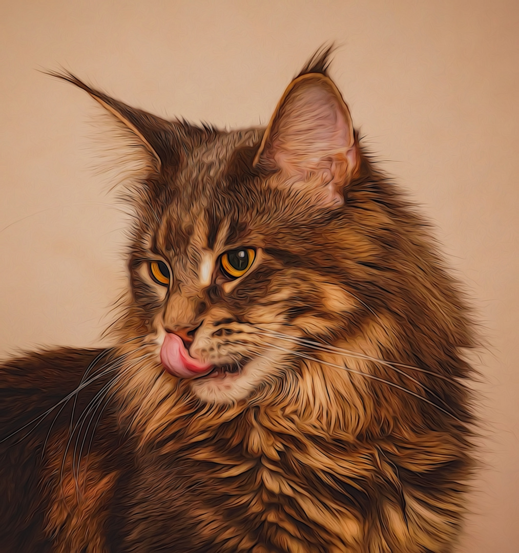 Oxana Maine Coon