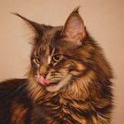 Oxana Maine Coon