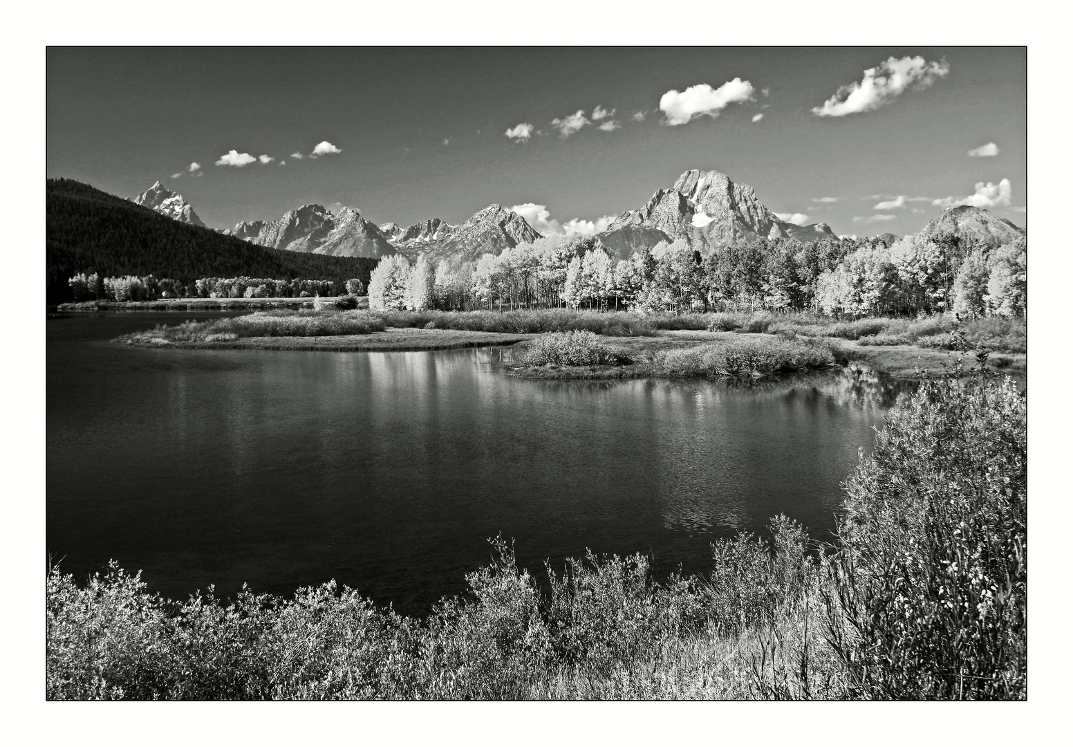 Oxbow Bend # 2