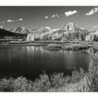 Oxbow Bend # 2