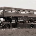 Oxford-Doppeldecker auf der Schwäbischen Alb