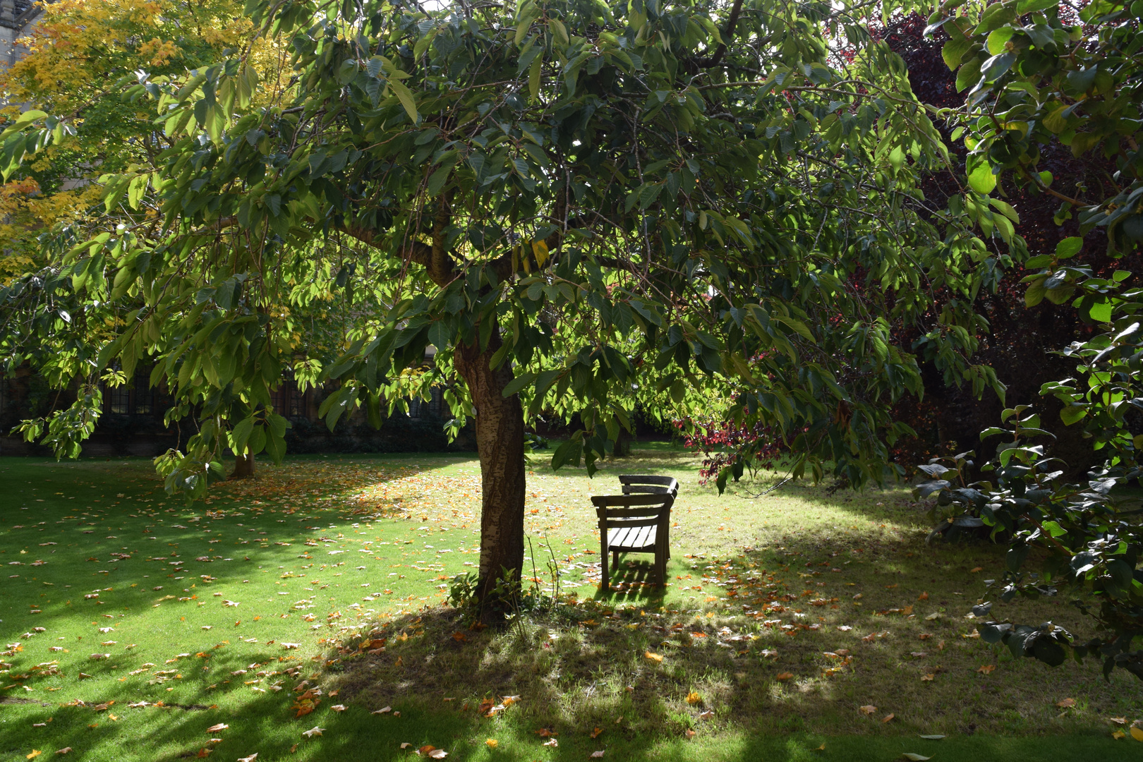 Oxford - Garten des Merton College