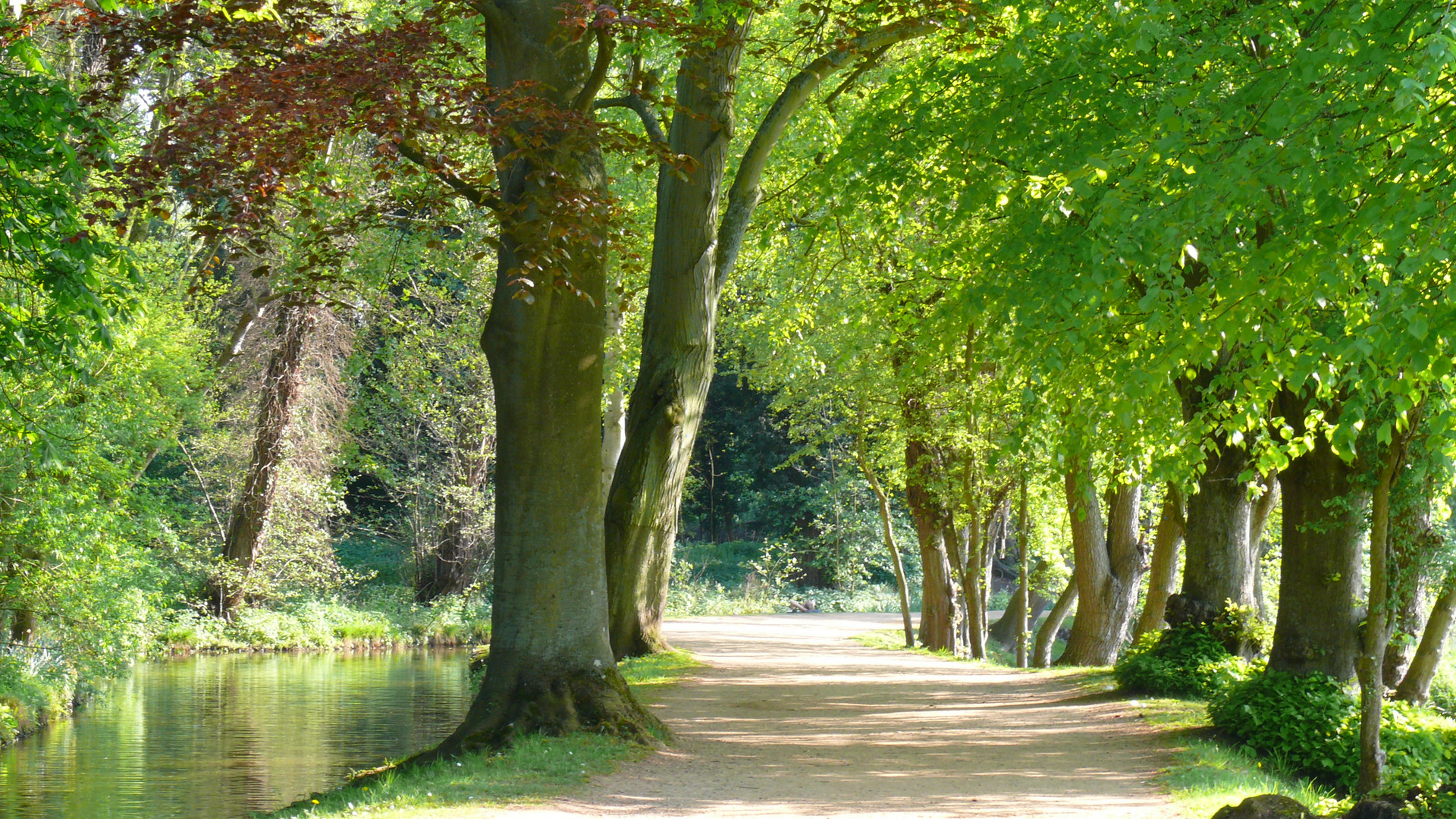 Oxford - im Park des Christ Church Colleges