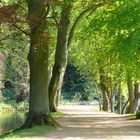 Oxford - im Park des Christ Church Colleges