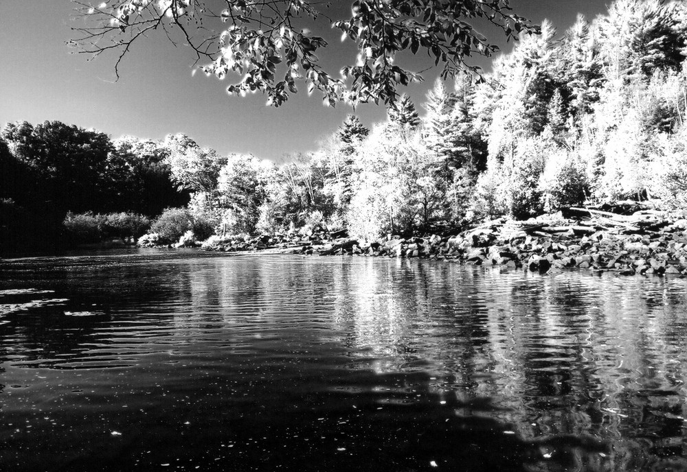 Oxtongue River