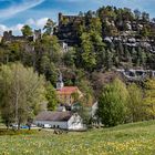  Oybin, Blick auf den Burgberg