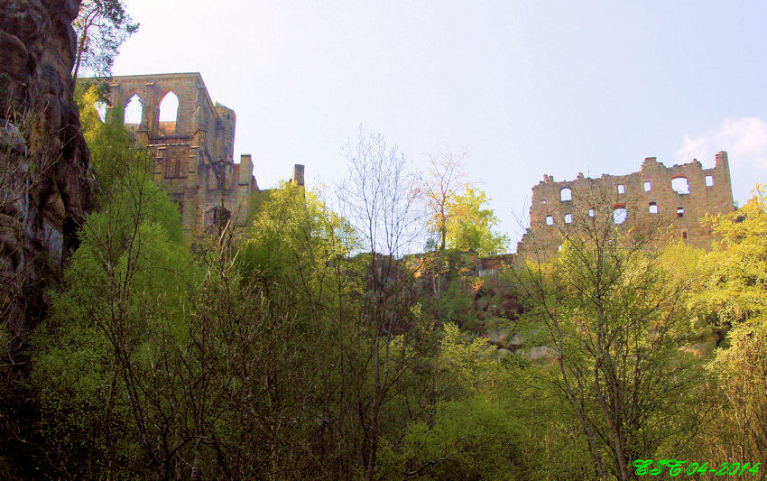 Oybin - Blick zur Burg vom Hausgrund aus