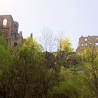 Oybin - Blick zur Burg vom Hausgrund aus