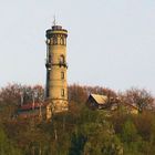 Oybin Hain - Hochwaldturm mit Baude