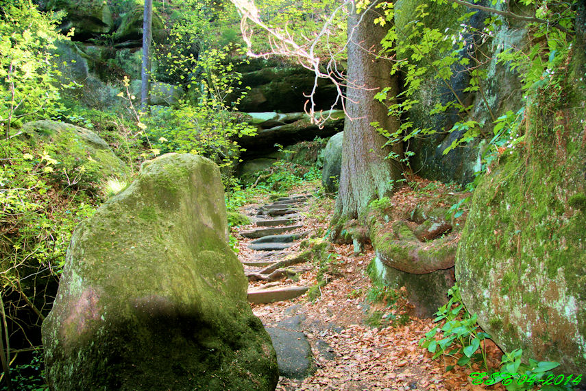 Oybin - Weg durch den Hausgrund zur Burg Oybin