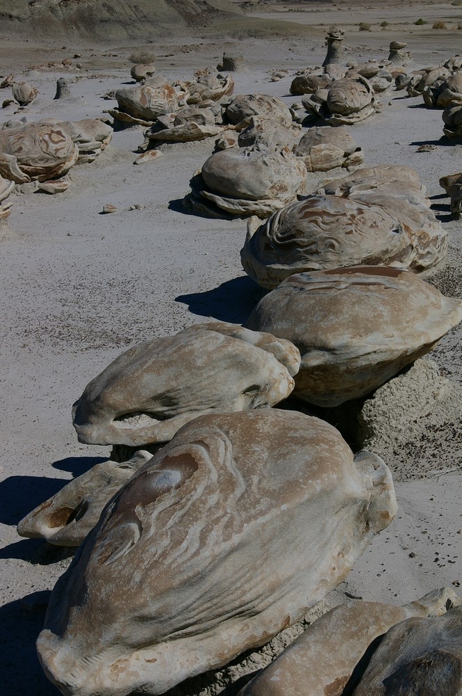 Oyster Farm