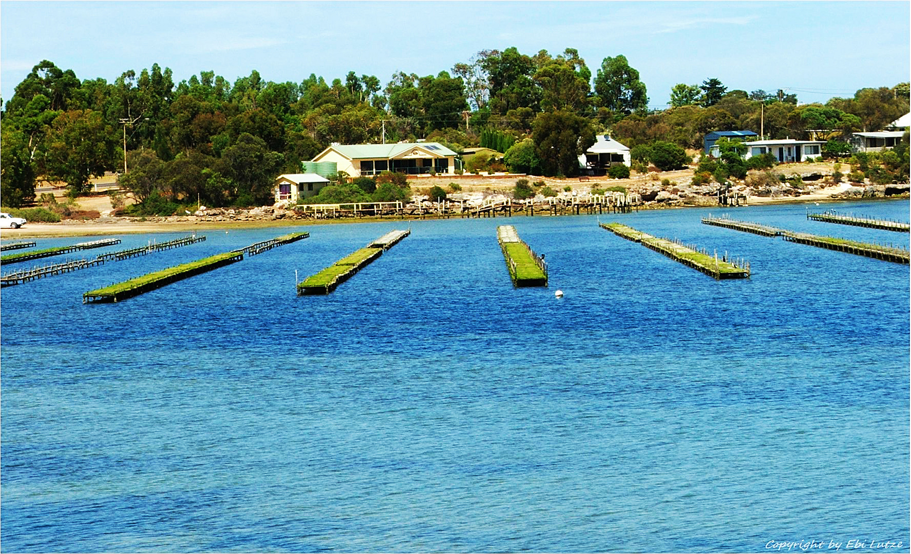 * Oyster Farm / Coffin Bay / Eyre Peninsula *