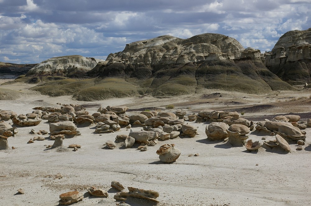 Oyster Farm Valley