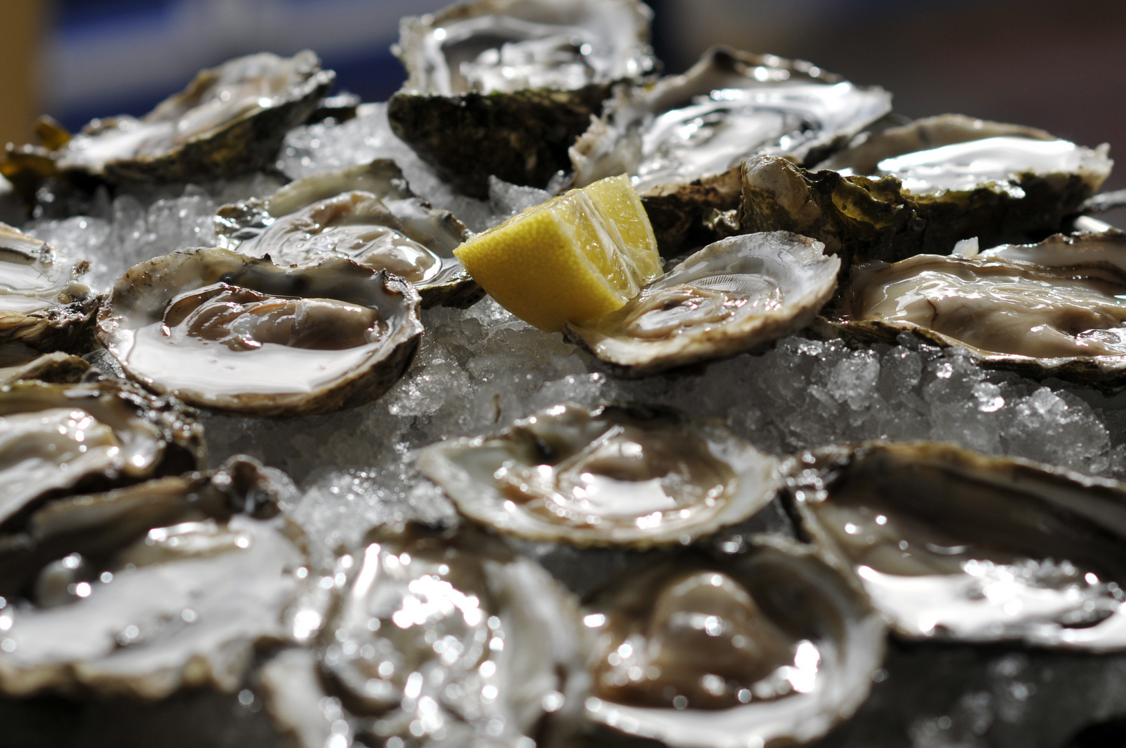 Oysters in Bretagne, 24 and more.