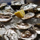 Oysters in Bretagne, 24 and more.