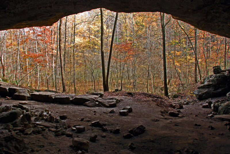 Ozark Autumn