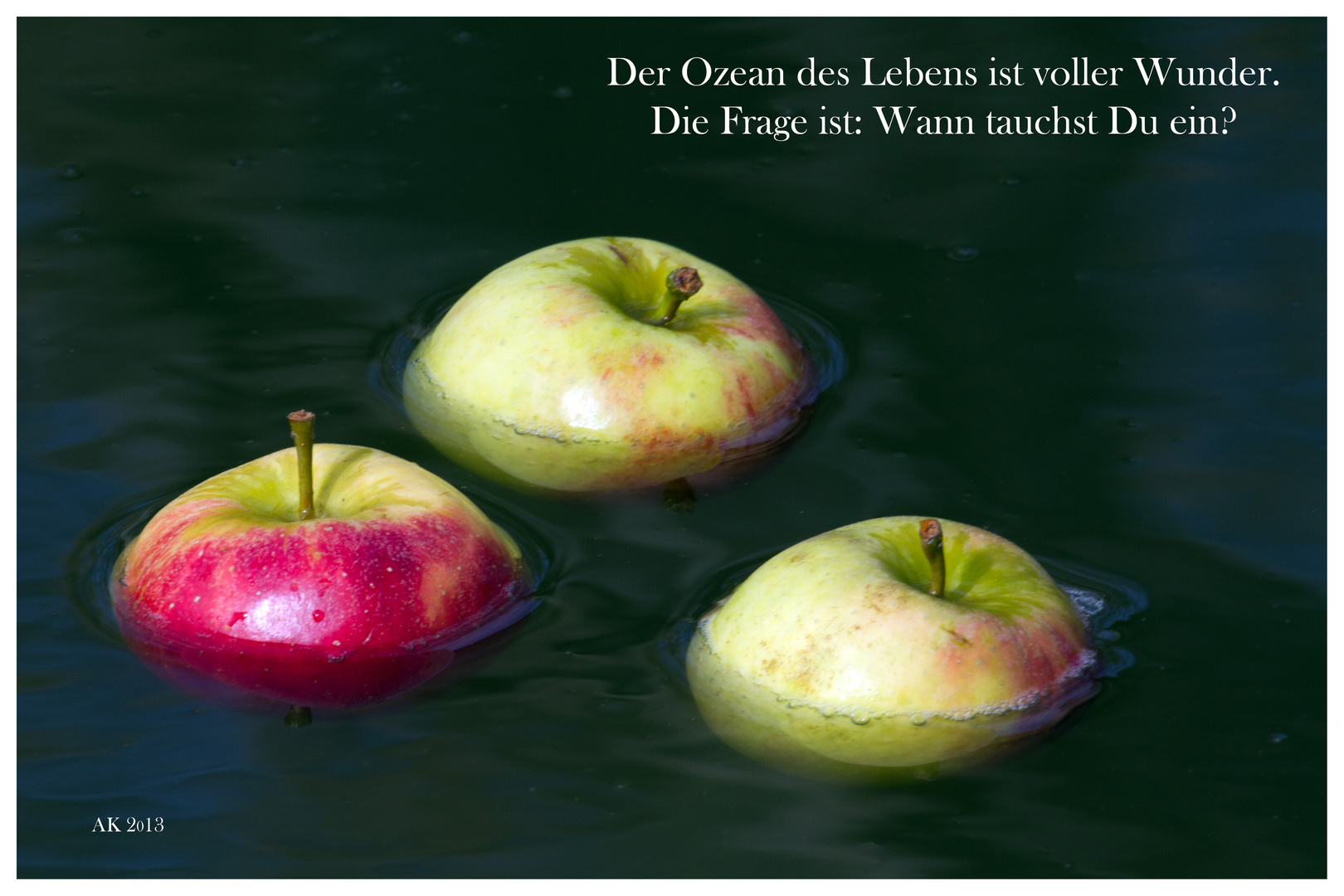 Ozean des Lebens