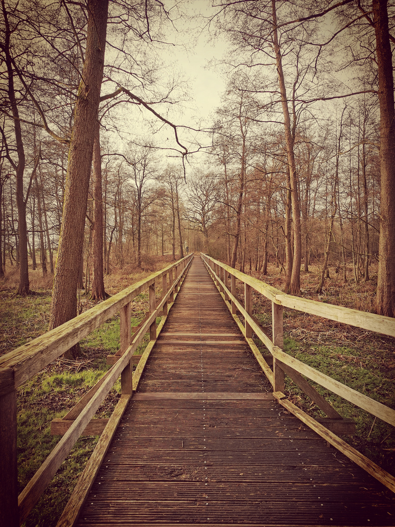 Ozeanbrücke 