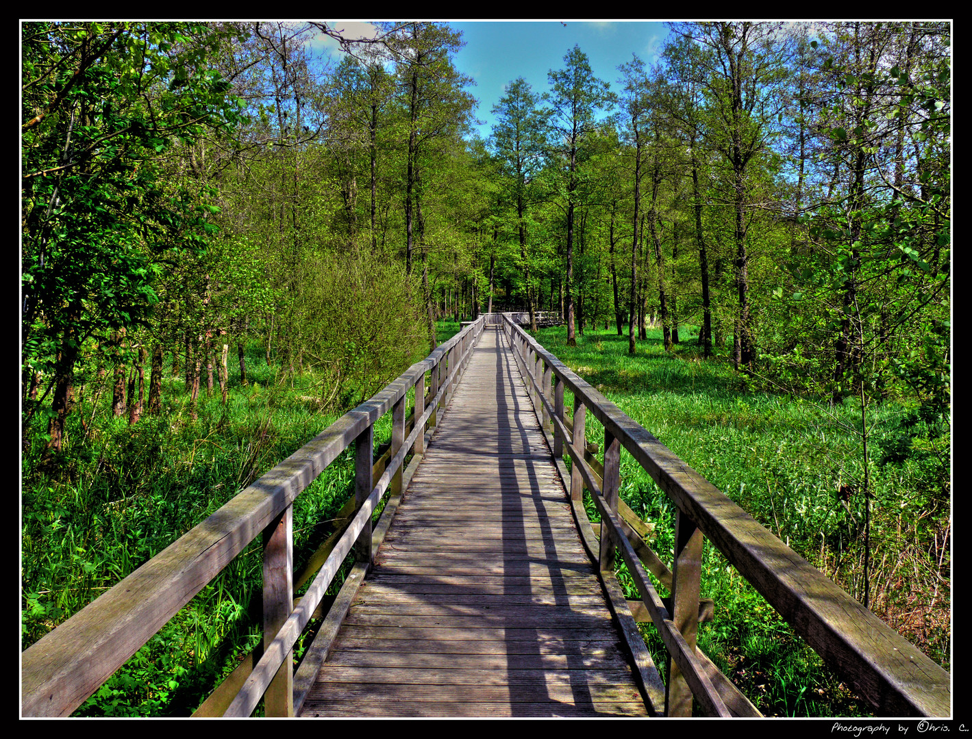 Ozeanbrücke (Moorbrücke) bei Harpstedt