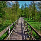 Ozeanbrücke (Moorbrücke) bei Harpstedt