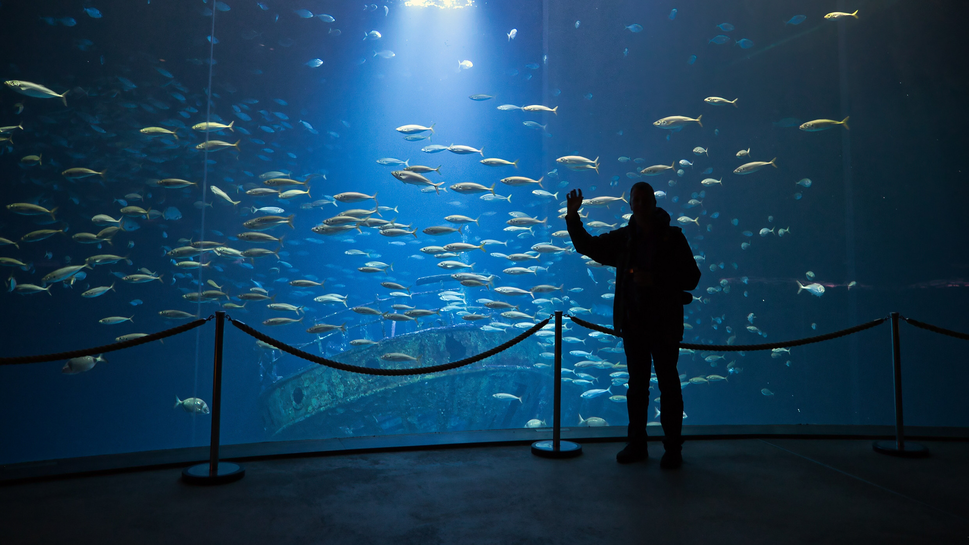 Ozeaneum