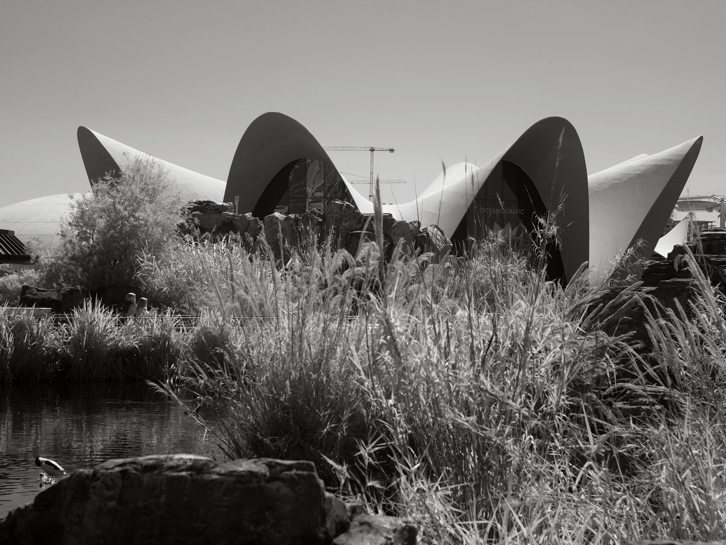 Ozeaneum