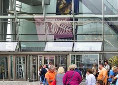 Ozeaneum in Stralsund