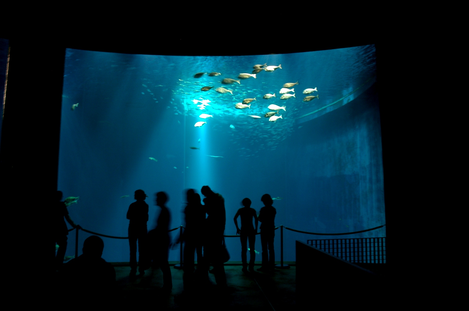 Ozeaneum Stralsund