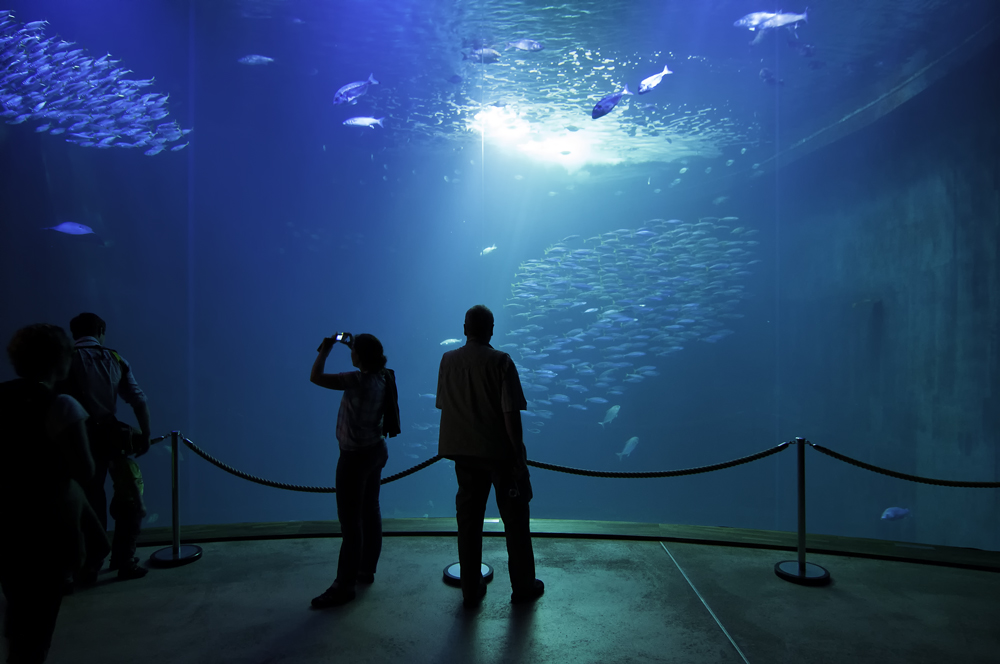 Ozeaneum Stralsund