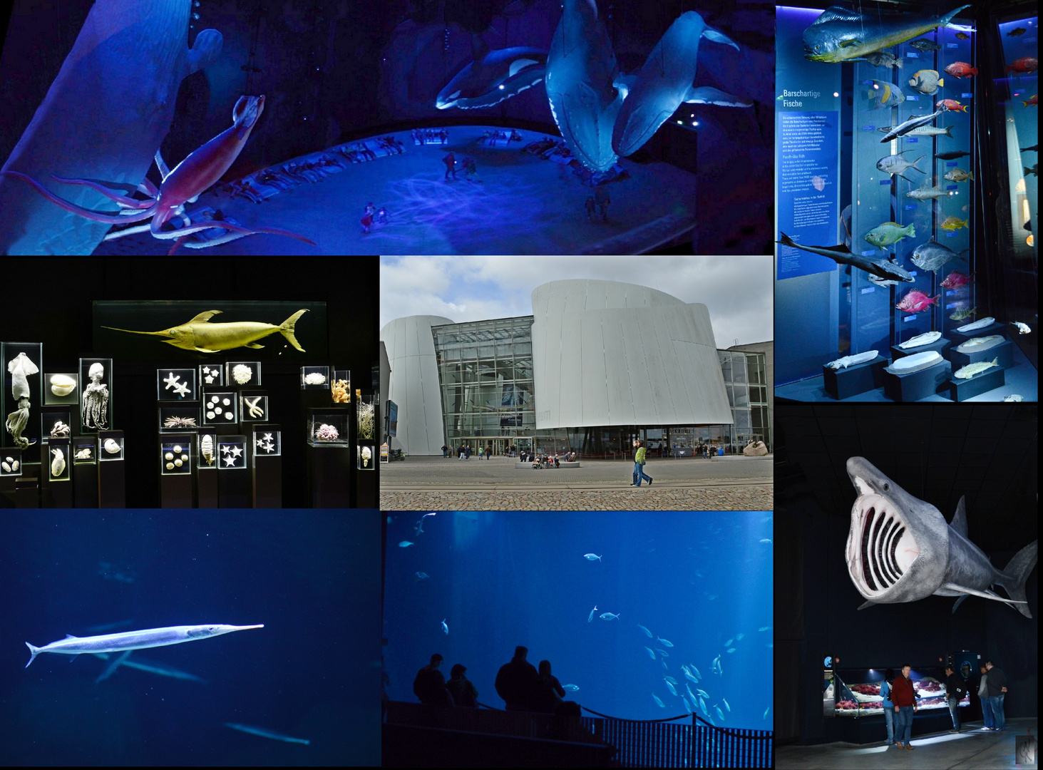 Ozeaneum Stralsund