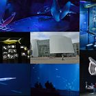 Ozeaneum Stralsund