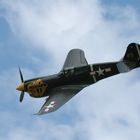 P-40 Kittyhawk