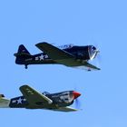 P-40 und T-6 Teil II