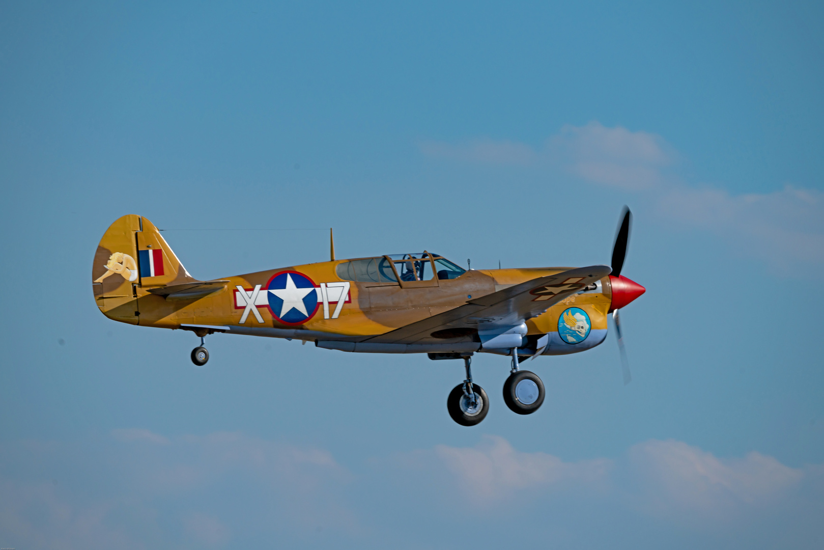 P-40 Warhawk 