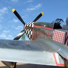 P-51 D Mustang