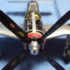 P-51 D Mustang