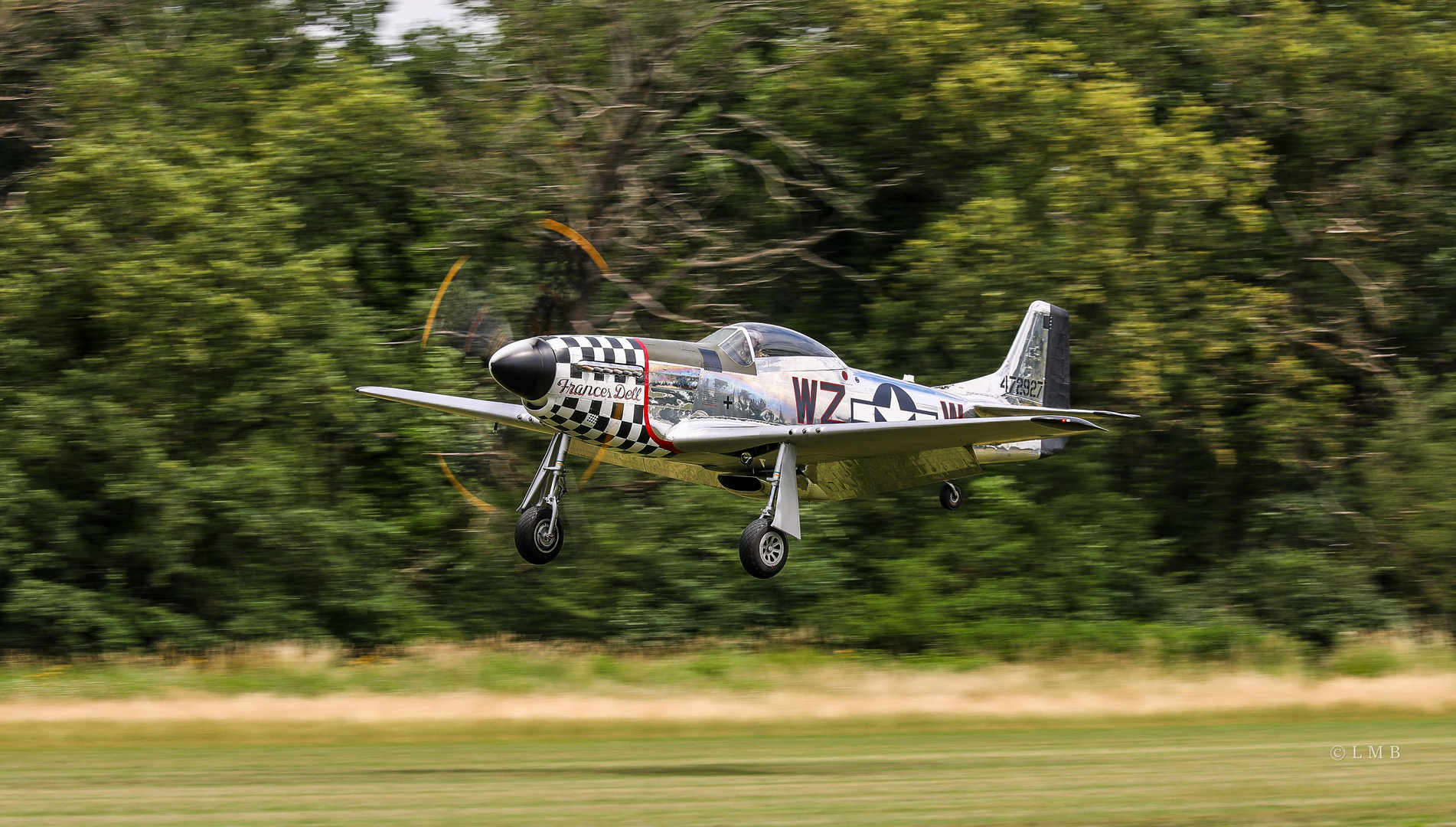 P-51 in Action