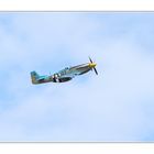 P 51 Mustang 1