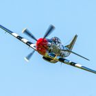 P-51 Mustang 2