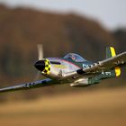 P-51 Mustang