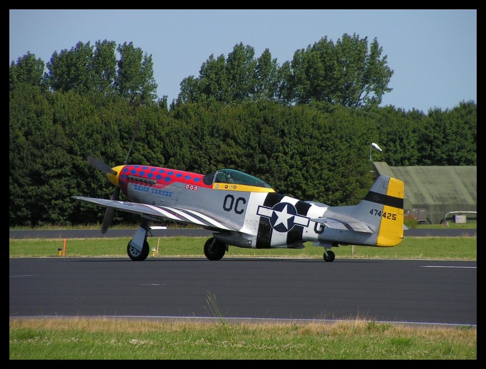 P 51 Mustang "Damn Yankee"