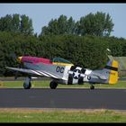 P 51 Mustang "Damn Yankee"