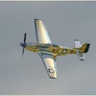 P-51 Mustang „Frances Dell“