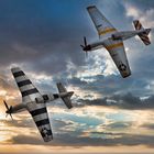 P-51 Mustang im Kunstflug 