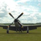 P 51 Mustang ^^^ reload^^^