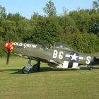 P 51 Mustang Zweisitzer