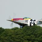 P-51D Mustang "Damn Yankee"