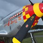 P-51D  Mustang - Hahnweide 2009 - Tag 2