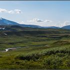 På dagstur på Dovrefjell