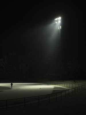 P E R S E V E R A N C E . I